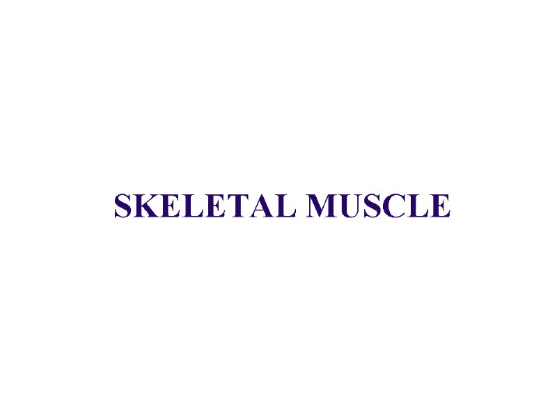 SKELETAL MUSCLE